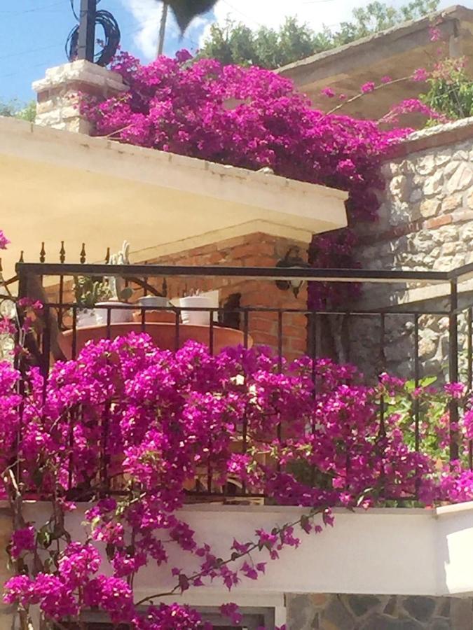Stefanel View-Frederika Villa Химар Екстериор снимка